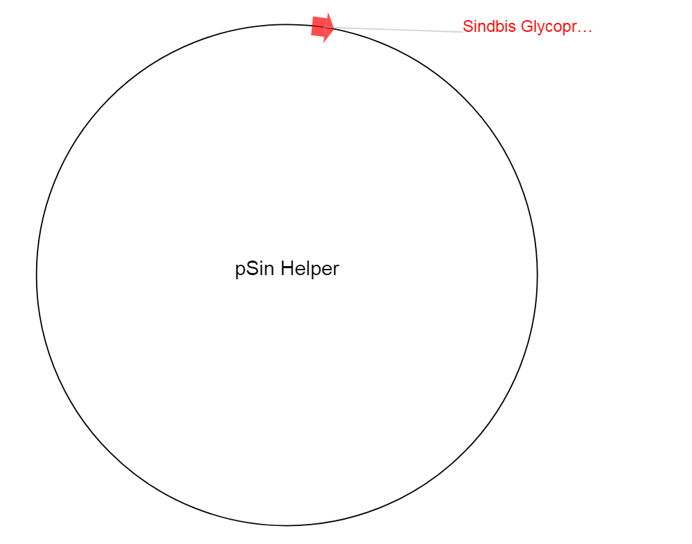 pSin Helper质粒图谱